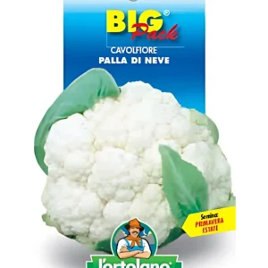Cavolfiore Palla Di Neve