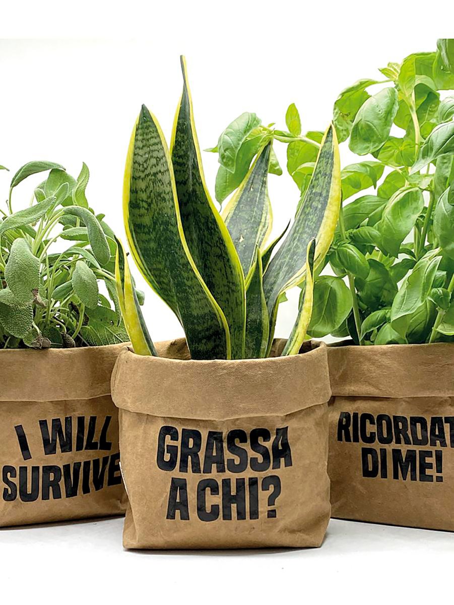 Sacchino F avana Ricordati di me - immagine 3