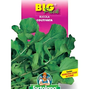 Rucola Coltivata