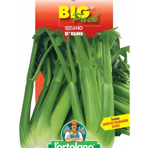 Sedano