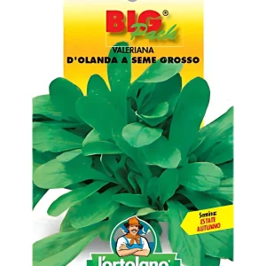 Valeriana
